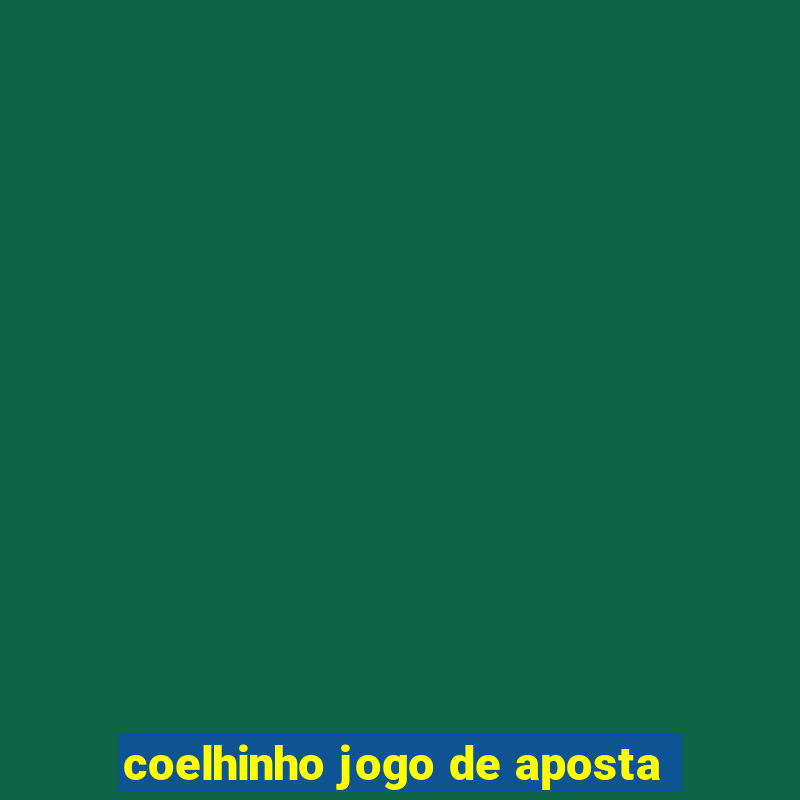 coelhinho jogo de aposta