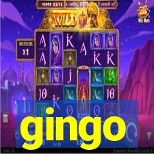 gingo