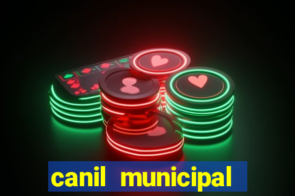 canil municipal porto alegre