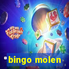 bingo molen