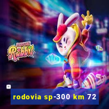 rodovia sp-300 km 72