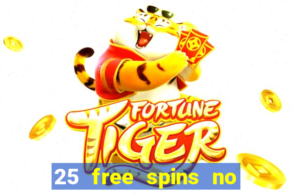 25 free spins no deposit casino poland