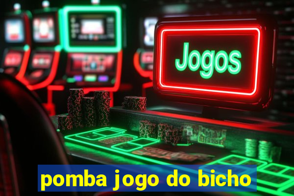 pomba jogo do bicho