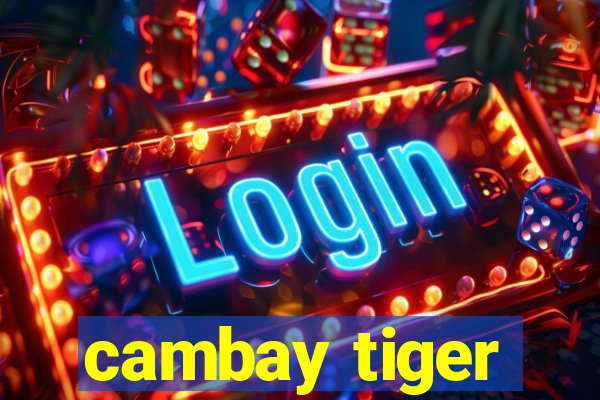 cambay tiger