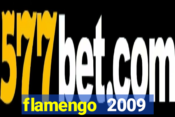 flamengo 2009 campeonato brasileiro