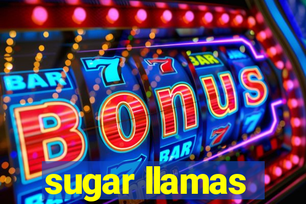 sugar llamas