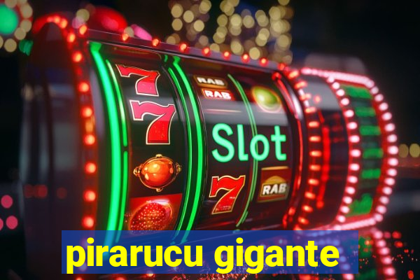 pirarucu gigante