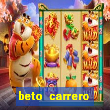 beto carrero cidades proximas