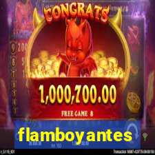 flamboyantes