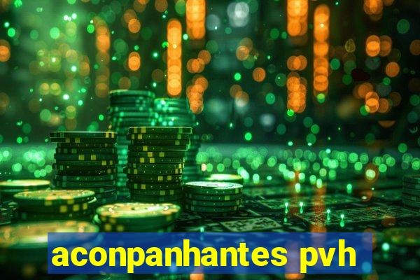 aconpanhantes pvh