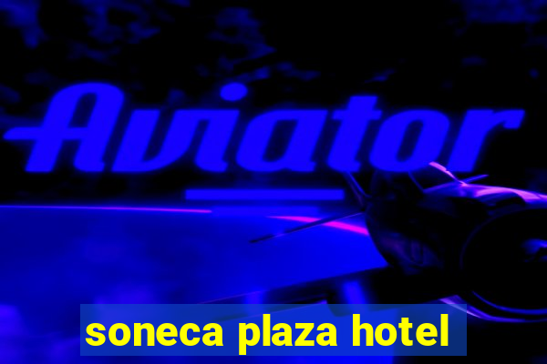 soneca plaza hotel