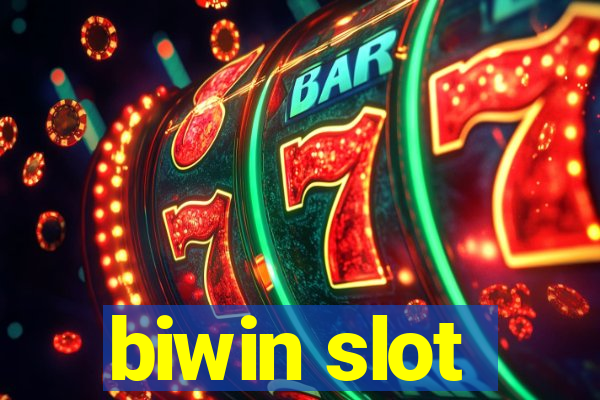 biwin slot