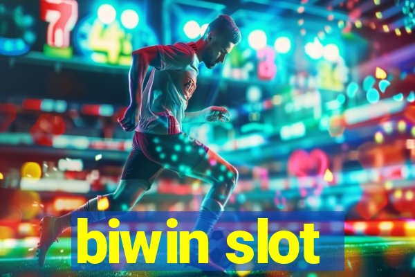 biwin slot