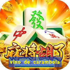 vino de carambola stardew valley