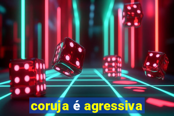 coruja é agressiva